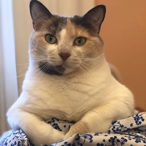 Meet your Posher, Megan